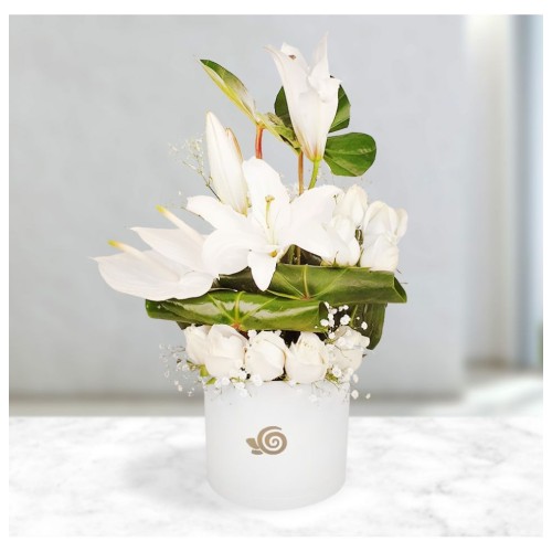 Parnian Flower Box